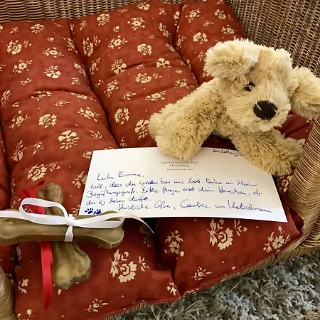 Hotel Europaeischer Hof Heidelberg, Bestes Deutschlands In Historischer Architektur Heidelberg