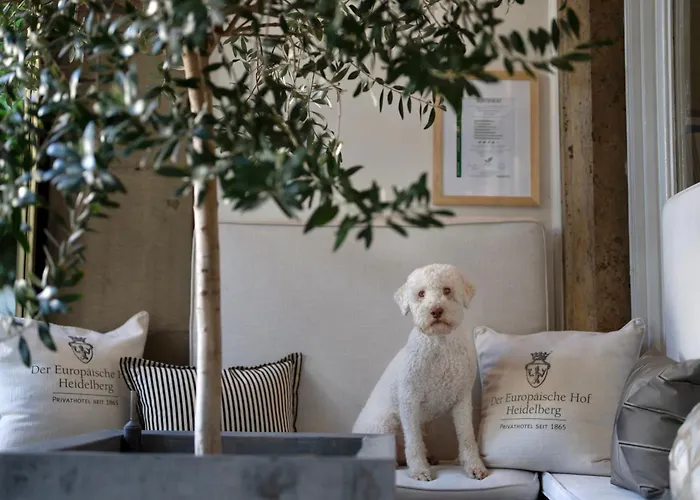 Szálloda Europaeischer Hof Heidelberg, Bestes Deutschlands In Historischer Architektur Heidelberg